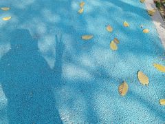 -怡海公园(桂城街道)