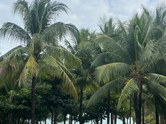 -三亚海棠湾喜来登度假酒店
