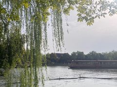 -范蠡湖公园