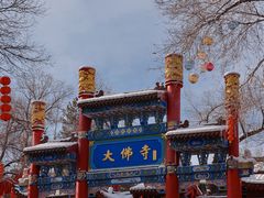 -新疆国际大巴扎