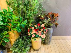 -唐沫茶兮(仓山万达金街店)