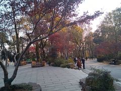 -岳麓山风景名胜区