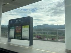 -野象谷景区