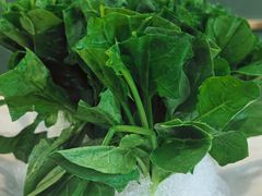 -喜聚薈·花膠雞海鮮火鍋(越秀店)