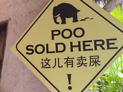 -大象粑粑造纸公园