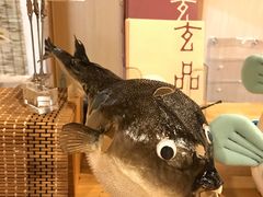 -玄品河豚(那覇國際通里之関)