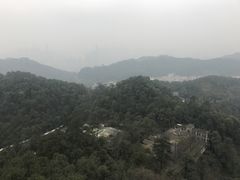 -大金鹰园