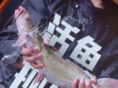 -老板恋上鱼(恒隆广场店)