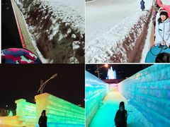 -沈阳奥体冰雪嘉年华