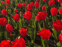 -长春公园(普阳街道)