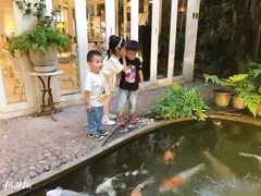 -Fern Forest Cafe