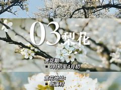 -阿哈湖国家湿地公园
