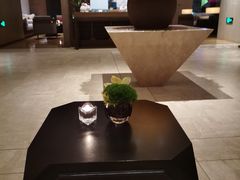 -丽晶轩中餐厅(重庆丽晶酒店)