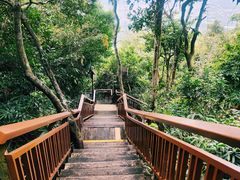 -三亚亚龙湾人间天堂鸟巢度假村