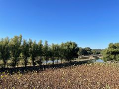 -北京麋鹿生态实验中心