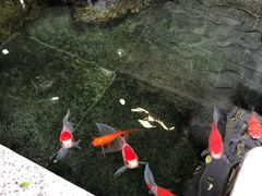 -荔湾湖公园