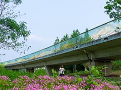 -白鹭湾湿地公园