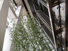 -上海柏悦酒店·世纪100牛排馆