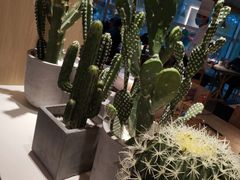 -蜜桃餐厅·伴山(湖滨商业街店)