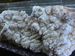 -湖南省地质博物馆