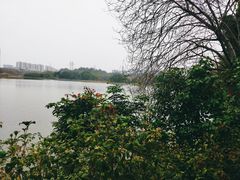 -广东花都湖国家湿地公园
