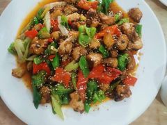 -煲来饱去冷水鱼