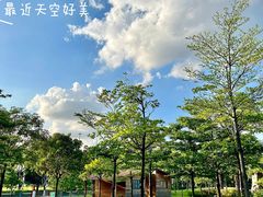 -海珠儿童公园