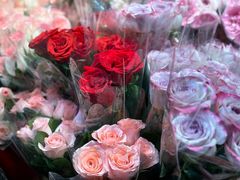 -循礼门鲜花花市(武汉循礼门店)