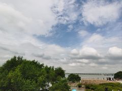 -宝安西湾红树林湿地公园