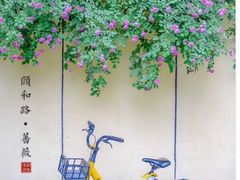 -颐和路民国时期公馆-风貌区