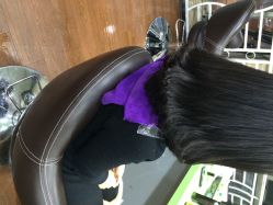 点击看大图 -CE·专业蛋白•羽毛接发·潮色烫染品牌店