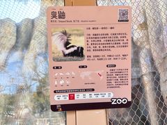 -武汉动物园