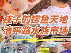 -清平路水族市场
