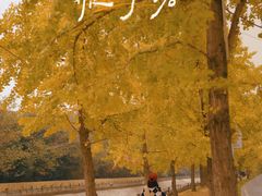 -成都市活水公园