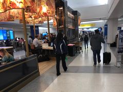 -纽瓦克自由国际机场