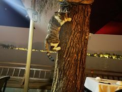 -柳莺湖上·湖景餐厅·江南菜(西湖店)