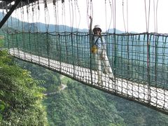-梦幻奥陶纪景区