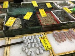 水产区-鸿达渔港
