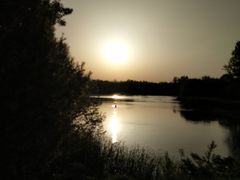 -大兴滨河森林公园