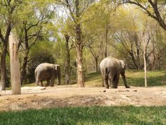 -北京野生动物园