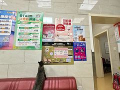 -瑞派天宁宠物医院·猫科·异宠中心