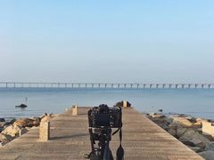 -宝安西湾红树林湿地公园