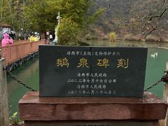 -靖西鹅泉风景区