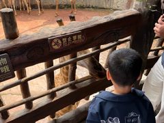 -长鹿旅游休博园