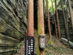 -梭布垭石林景区