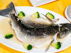 -强记烧鸡(信业悦都汇店)