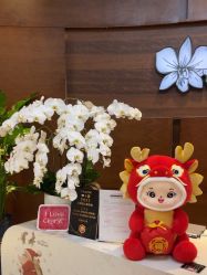 -洁铭新加坡医美