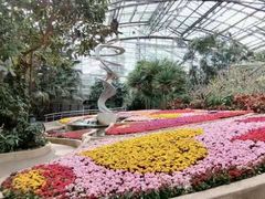 -南山植物园