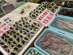 -南沙十九涌渔人码头-南门