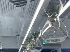 -% Arabica阿拉比卡咖啡(前滩太古里店)